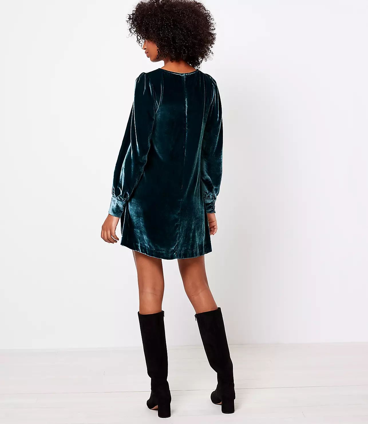 Velvet Swing Dress | LOFT