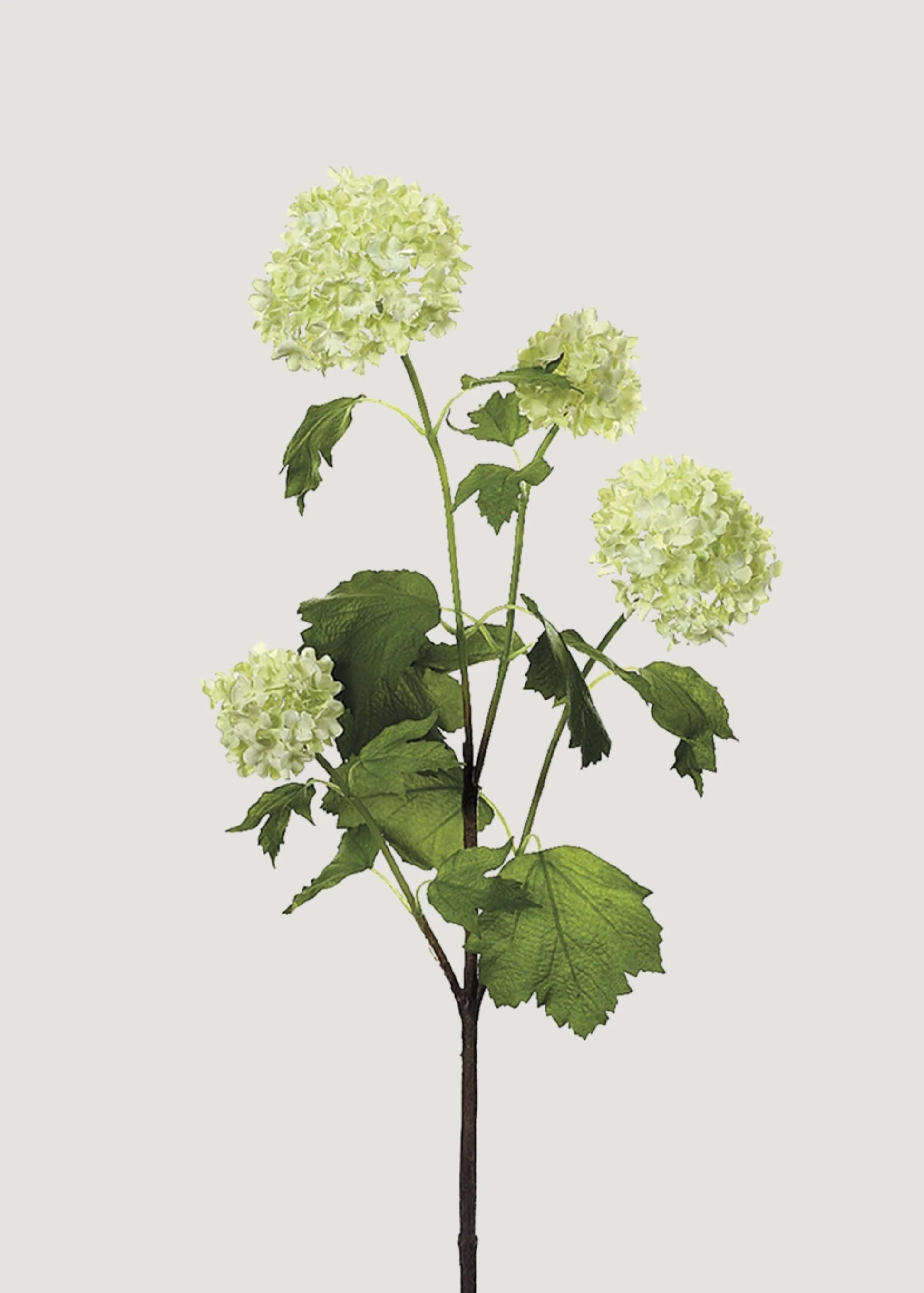 Green Cream Artificial Snowball Flowers - 24" | Afloral