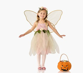 Light-Up Gala Fairy Costume | Pottery Barn Kids
