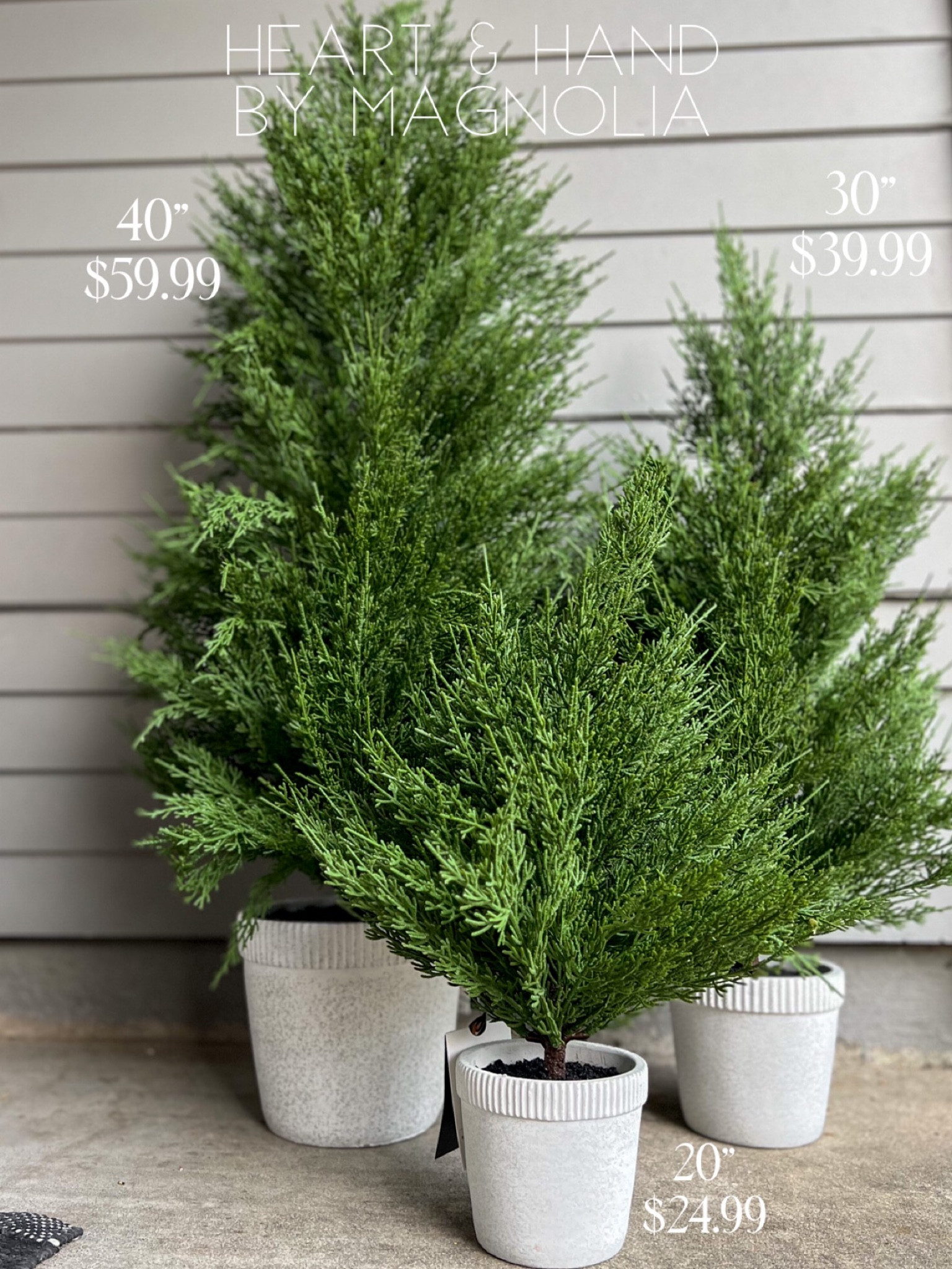 The most realistic faux cypress Christmas trees from @target. 
40" Faux Cypress Christmas Tree in Cement Pot - Hearth
& Hand™™ with Magnolia / 30" Faux Cypress Christmas Tree in Cement Pot - Hearth
& Hand™ with Magnolia / 20" Faux Cypress Christmas Tree in Cement Pot - Hearth & Hand™ with Magnolia
Front porch Christmas Tree / Outdoor Christmas Tree / Small apartment Christmas tree / Christmas photoshoot small tree / christmas tree

Get into the Christmas spirit by decorating your home with this Faux Cypress Christmas Tree in Cement Pot from Hearth & Hand™ with Magnolia. This artificial green cypress Christmas tree brings a festive, nature-inspired look to your interiors, and it comes planted inside a white cement pot for instant display. Simply add your favorite ornaments, garlands and other embellishments to create a beautiful decor centerpiece

#target #hearthandhand #christmasttree

#LTKhome #LTKHoliday #LTKSeasonal