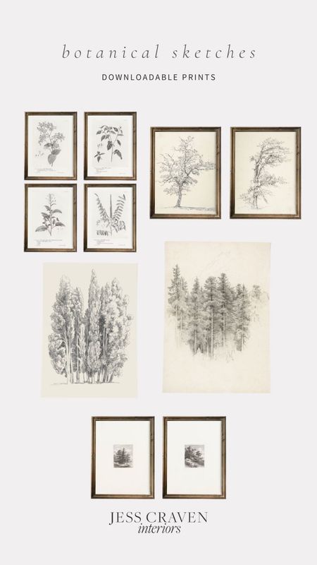 Botanical sketches, botanical prints, pencil art, botanical pencil art prints, vintage black and white botanical sketches

#LTKunder50 #LTKhome #LTKstyletip