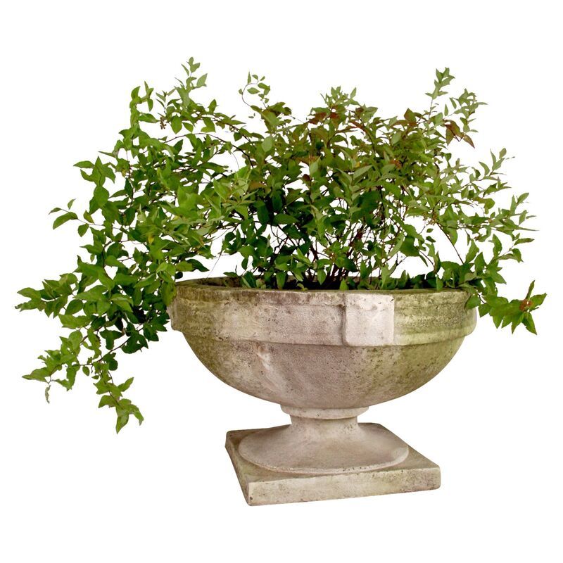 Smooth Strap Urn, White Moss | One Kings Lane