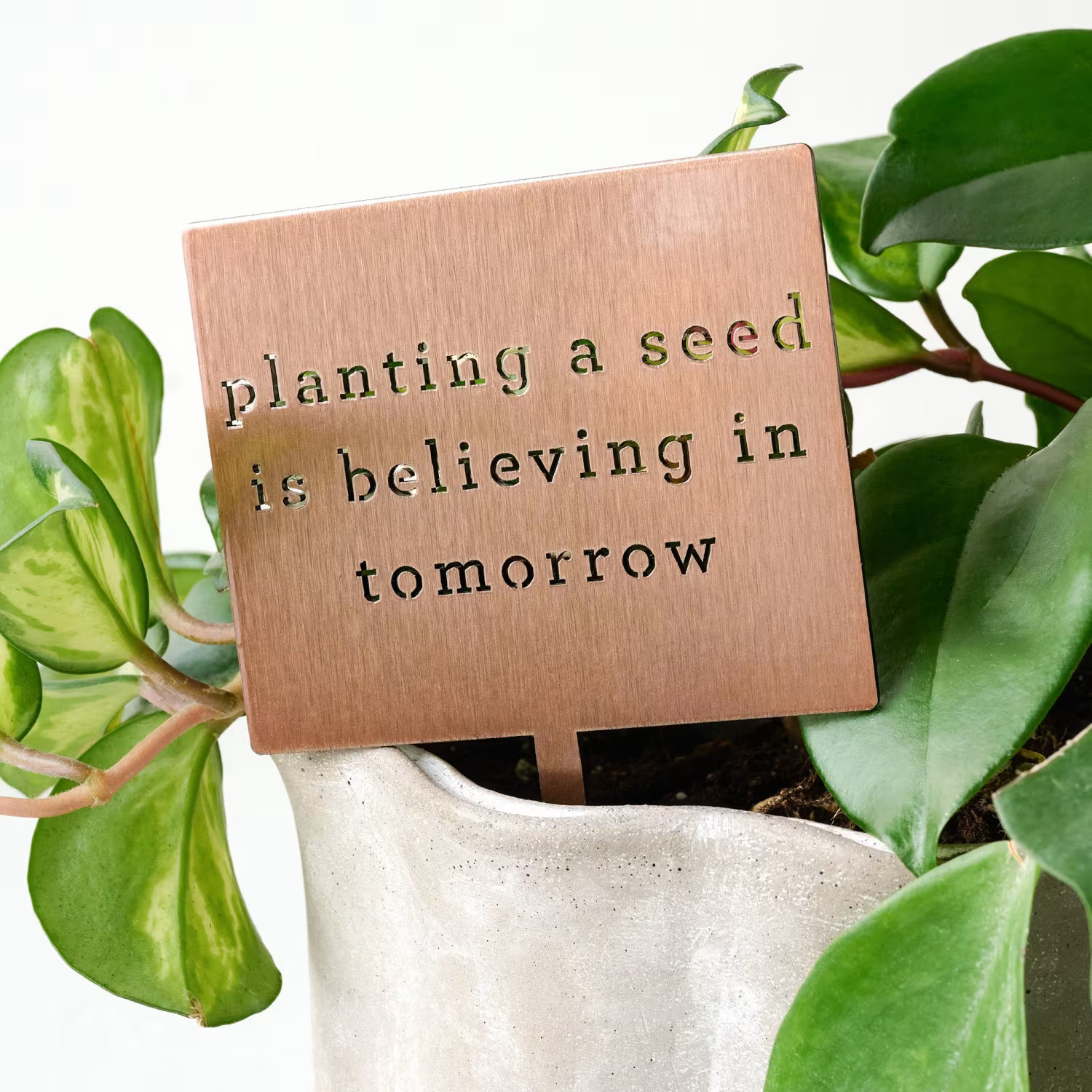 Planting A Seed Mini Garden Stake | Magnolia