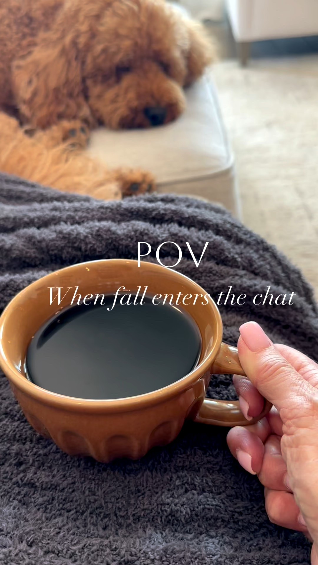 When fall enters the chat… everything shifts.
The air feels cozier, the colors get warmer, and your home starts craving those little seasonal touches—rich textures, earthy tones, and pieces that make you want to slow down and stay in. 🍁✨

#LTKOver40 #LTKHome #LTKSeasonal