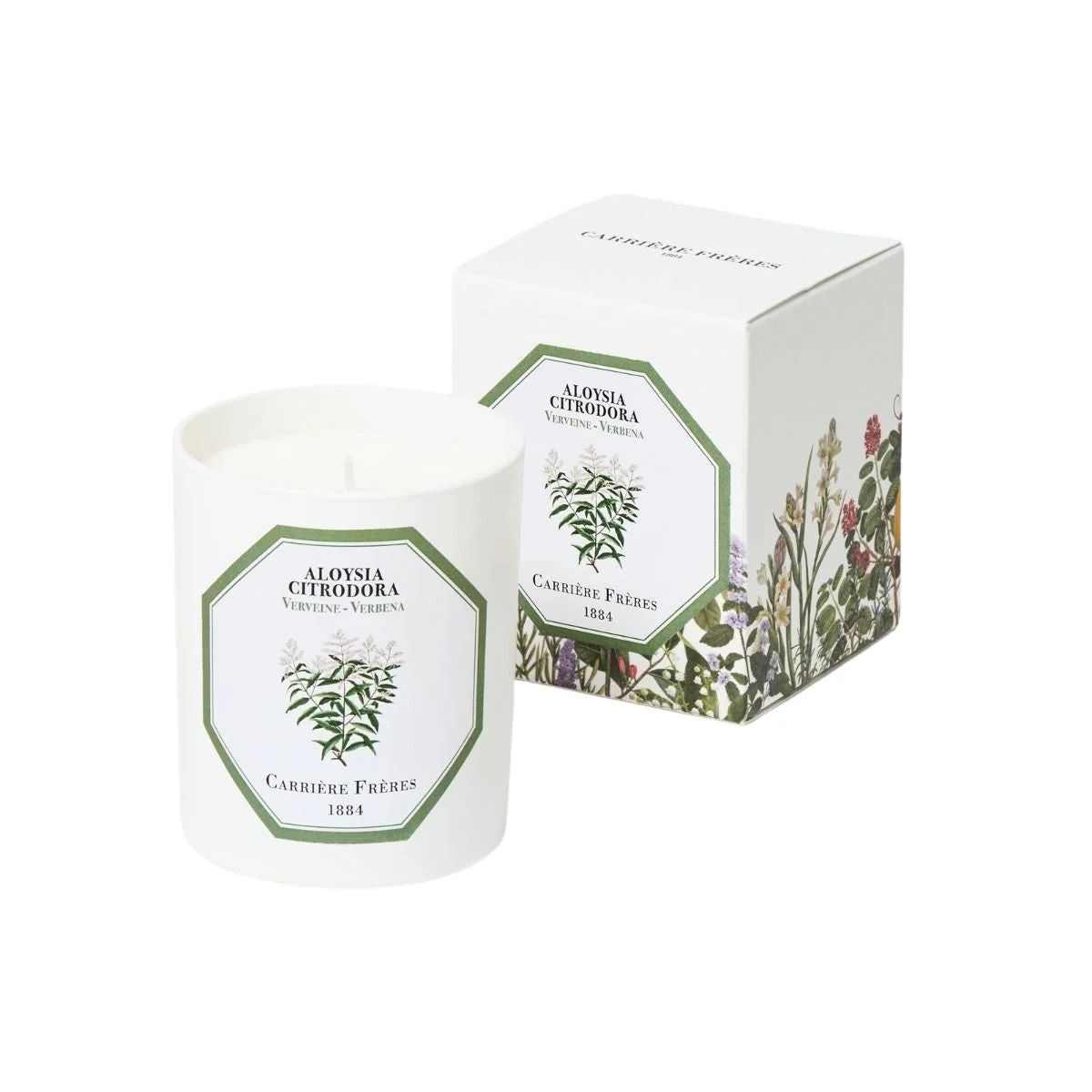 Alyosia Citrodora, Verbena Candle | Paloma & Co.