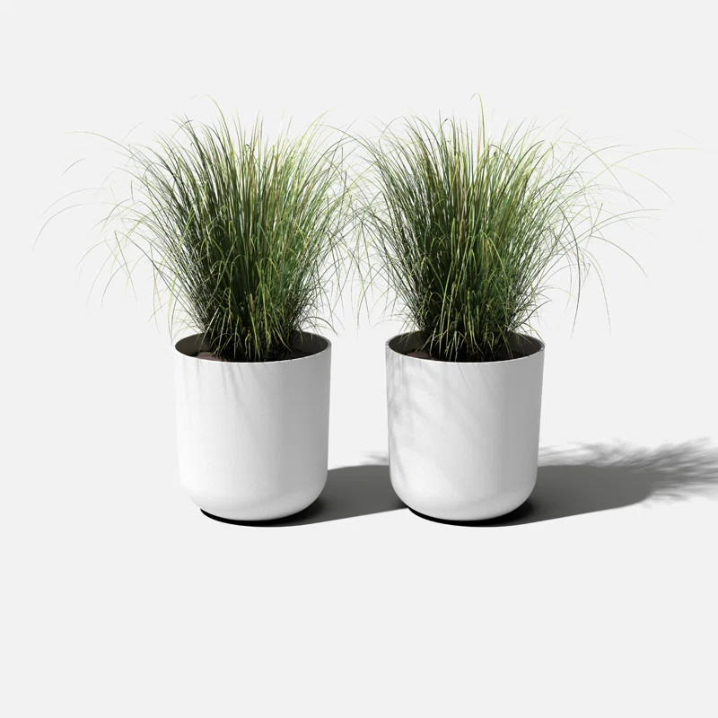 Mason Series Kona Planter | Wayfair North America
