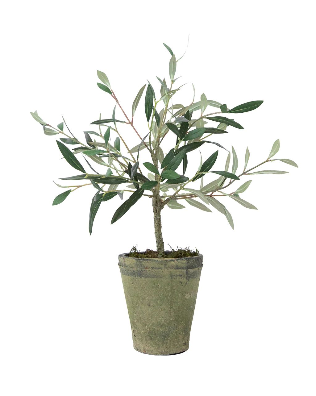 Faux Potted Charleston Olive Tree | McGee & Co.