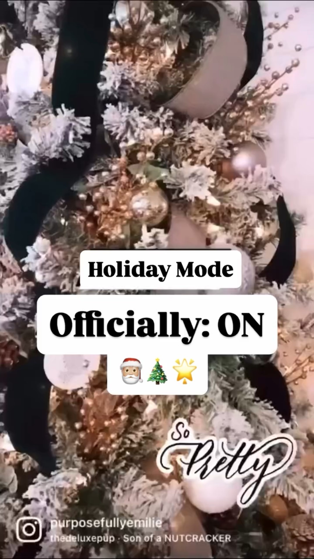 The time has come to deck the halls yall! 

Tree is officially up!🤎🎄

When do you put your tree up?