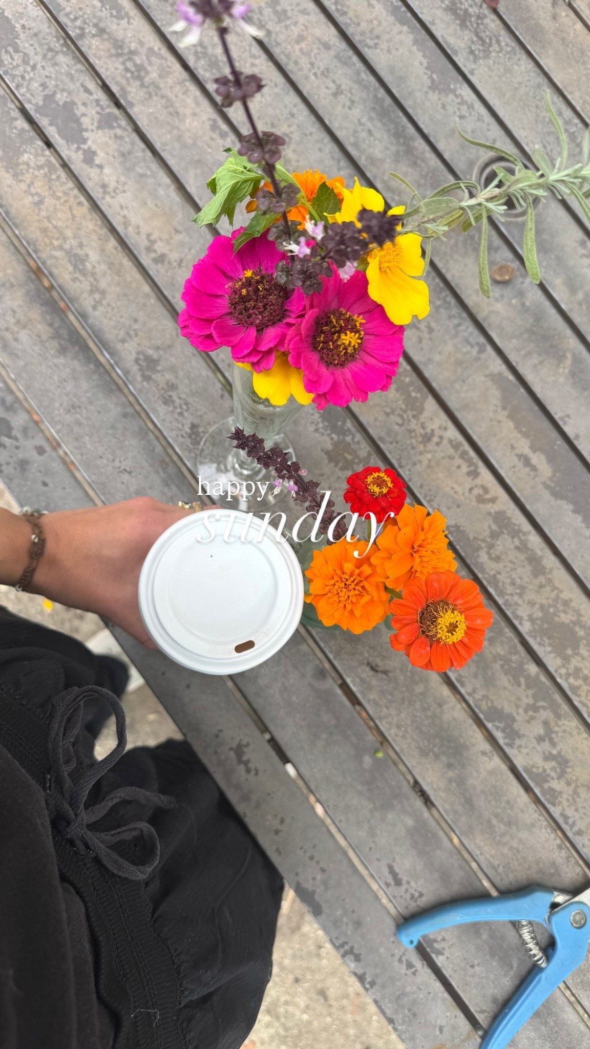 happy sunday #flowers #garden #gardening 

#LTKFallSale #LTKHome #LTKSeasonal