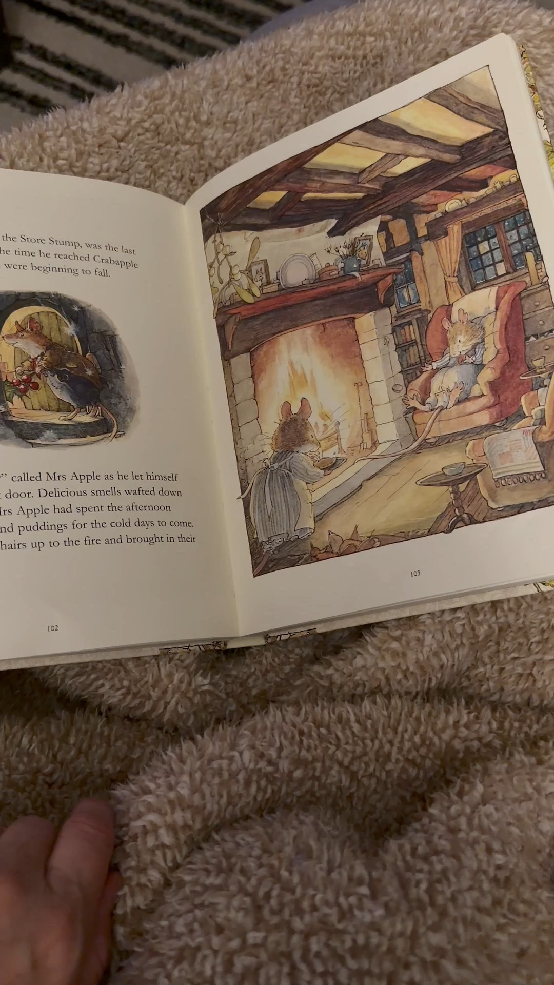 Bramble Hedge - a family favorite with beautiful pictures 

#LTKFamily #LTKSaleAlert #LTKGiftGuide