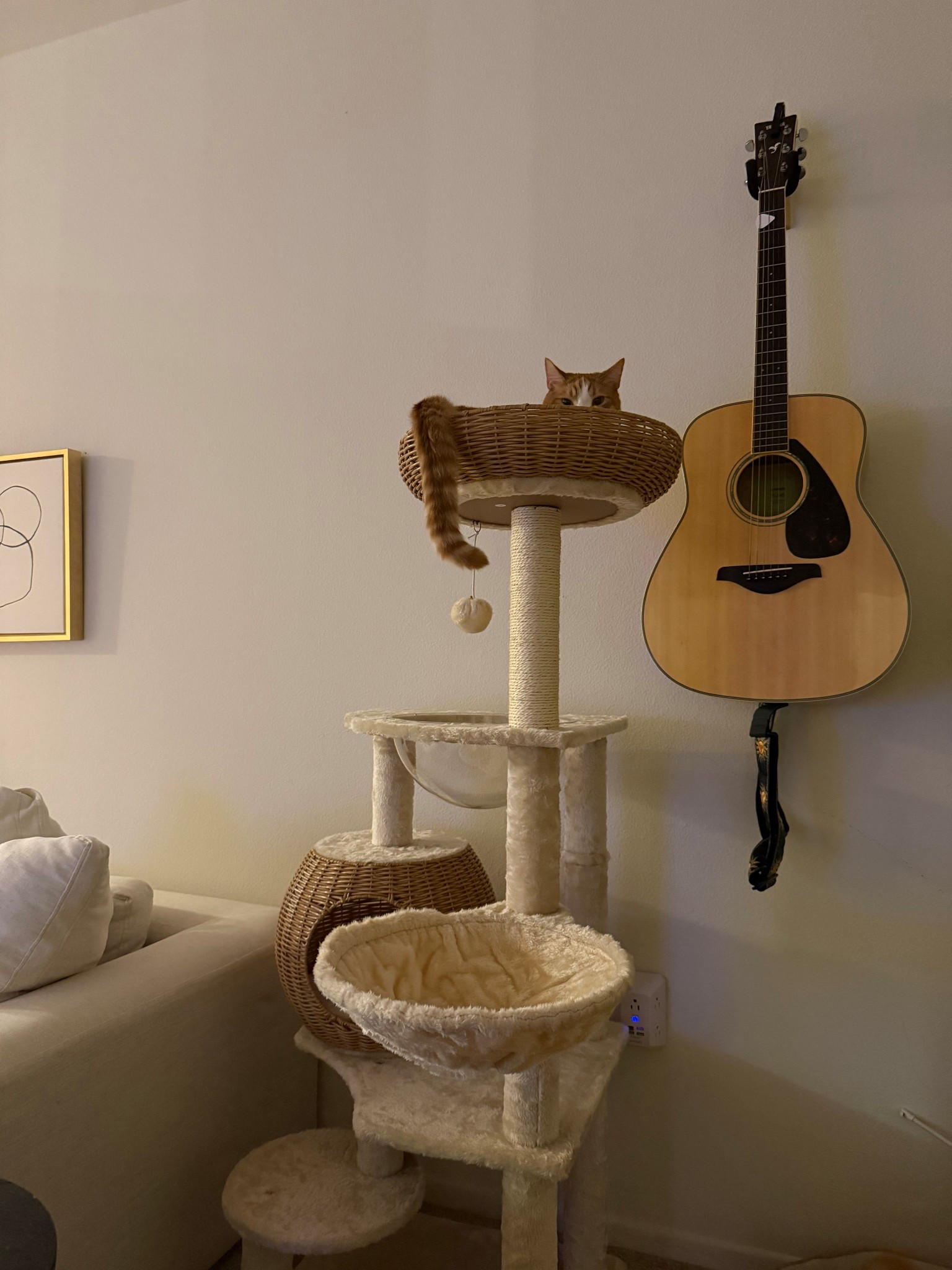 Just got this new cat tree and I’m obsessed! It looks so pretty (not your average cat tree) and priced at $100! Easy to assemble too :)) 