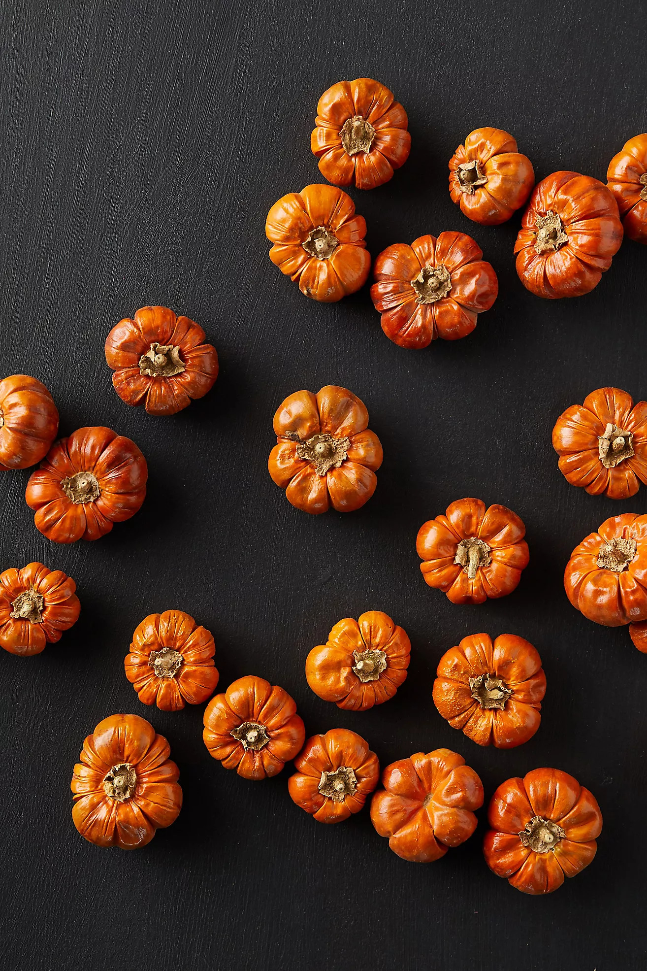 Preserved Pumpino Toppers | Anthropologie (US)