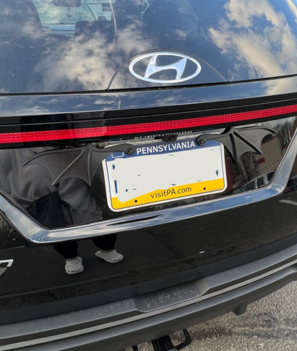 for the acotar / goth / alt girlies. bat wings for your car/license plate. car accessories 