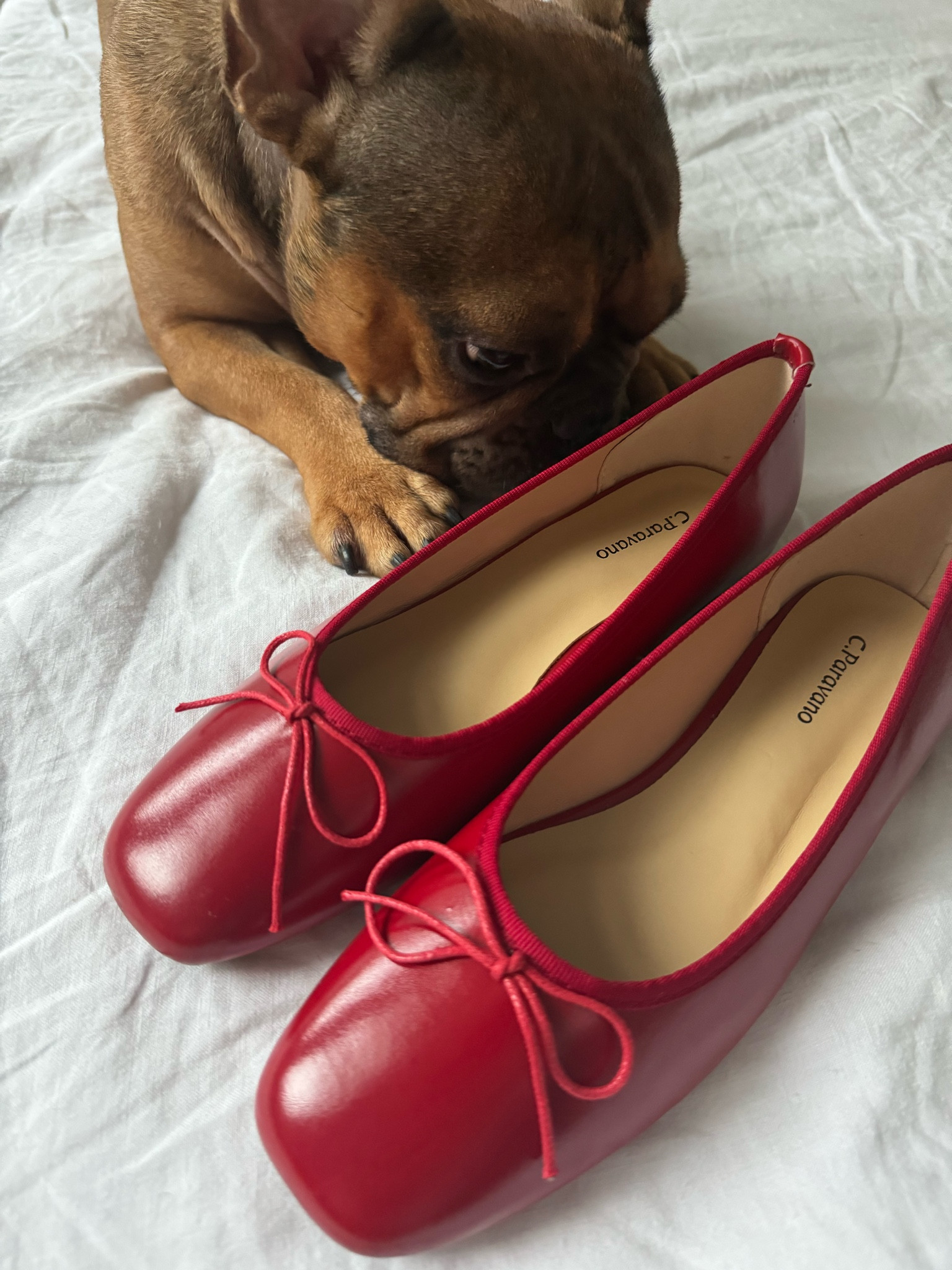 Red flats for the fall ❤️ 

#LTKShoeCrush