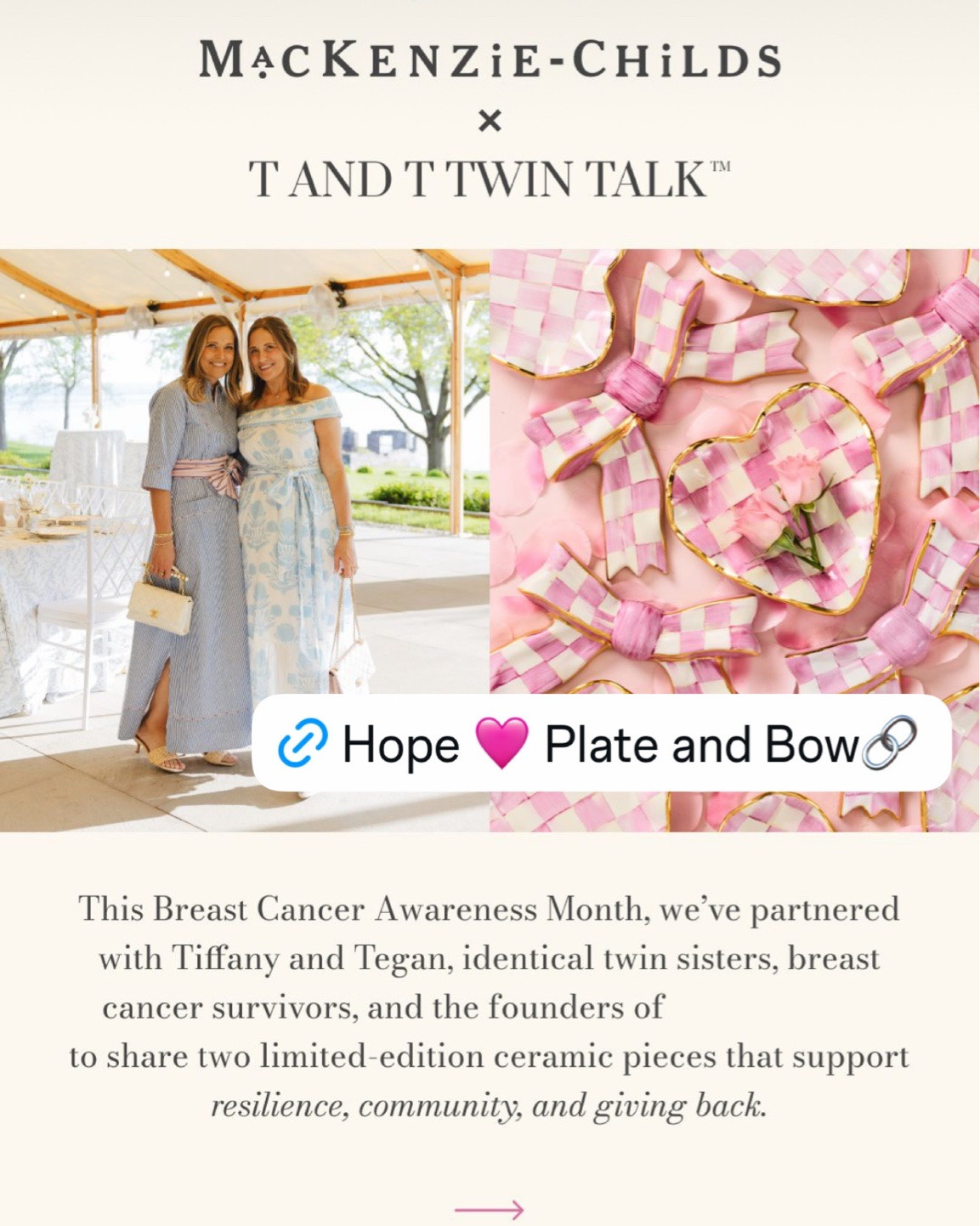 The hope heart plate and bow gives so much help to those financially in need fighting breast cancer  

20% of the proceeds go to help those in need.

#LTKselfcare