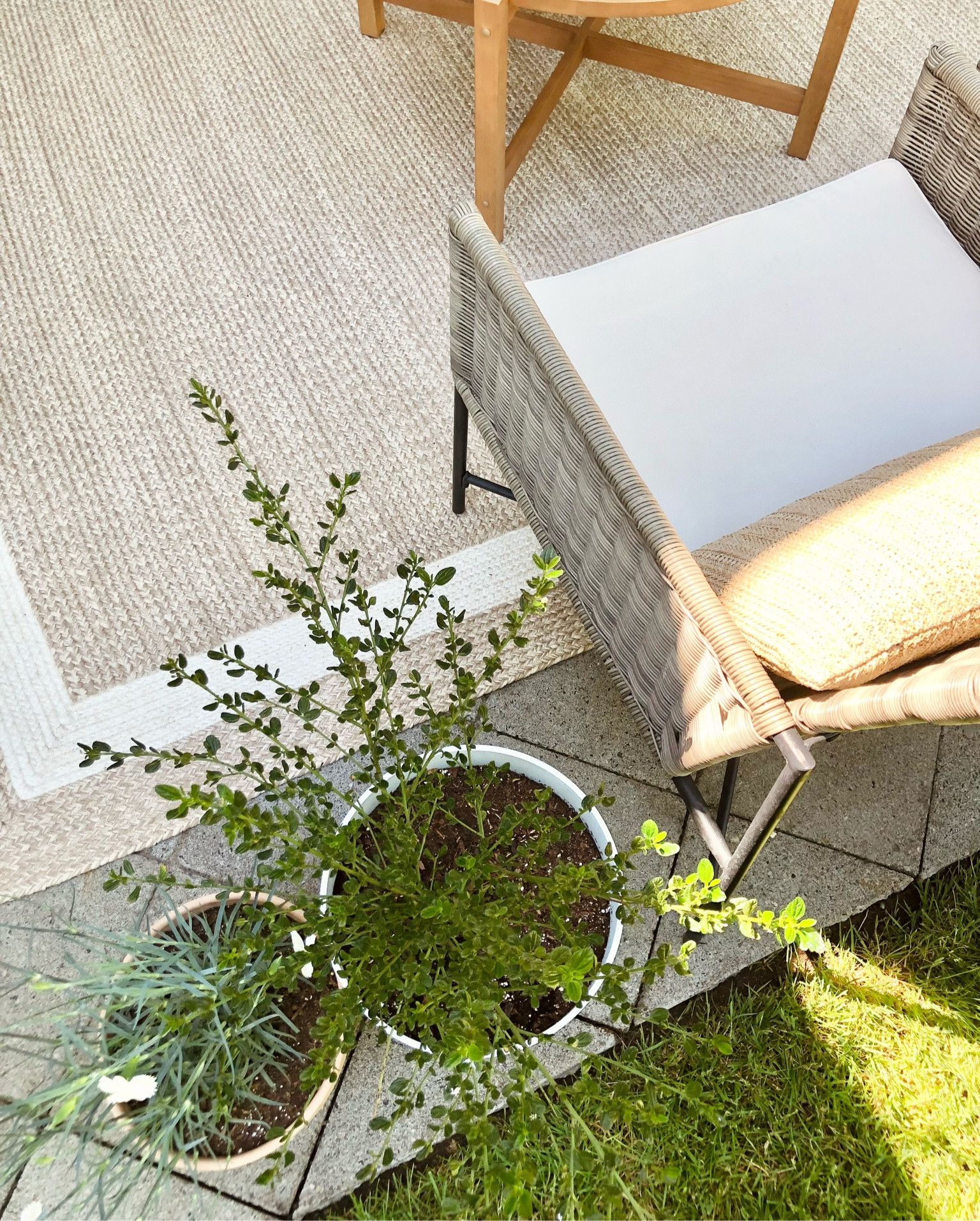 Shop my favorite Target patio furniture!

Outdoor furniture, patio furniture, patio chairs, outdoor tables, outdoor sofas, outdoor coffee tables, outdoor rugs, outdoor decor

#LTKhome #LTKSeasonal