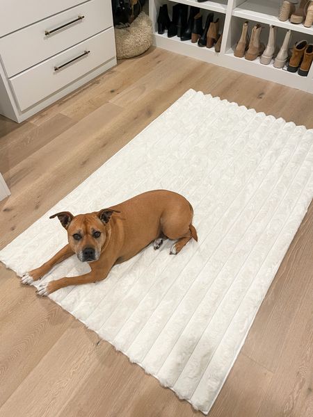 Our washable closet rug 👏🏽

• white modern rug, faux fur, washable, rugs USA, spill and stain resistant, pet friendly

#LTKsalealert #LTKhome