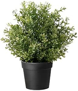 IKEA Artificial Potted Plant, Thyme, 9.5 Inch (1) | Amazon (US)