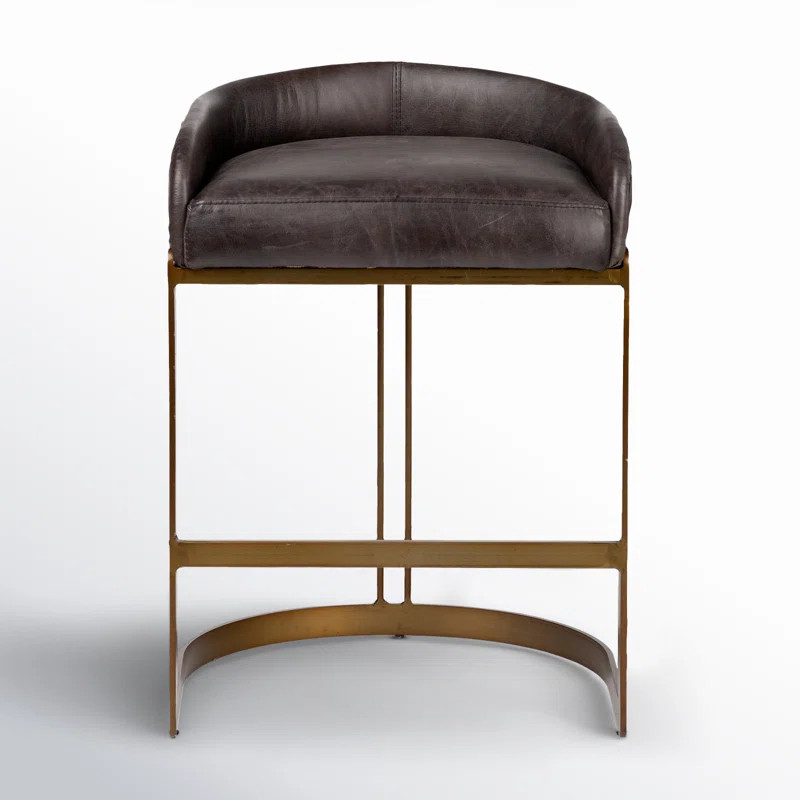 Bradley Genuine Leather Bar & Counter Stool | Joss & Main