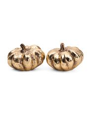 2pk 5in Metallic Pumpkins | Fall Decor | T.J.Maxx | TJ Maxx