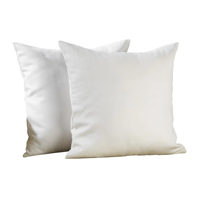 Decorative Throw Cushion Covers (Set of 2) | Wayfair North America
