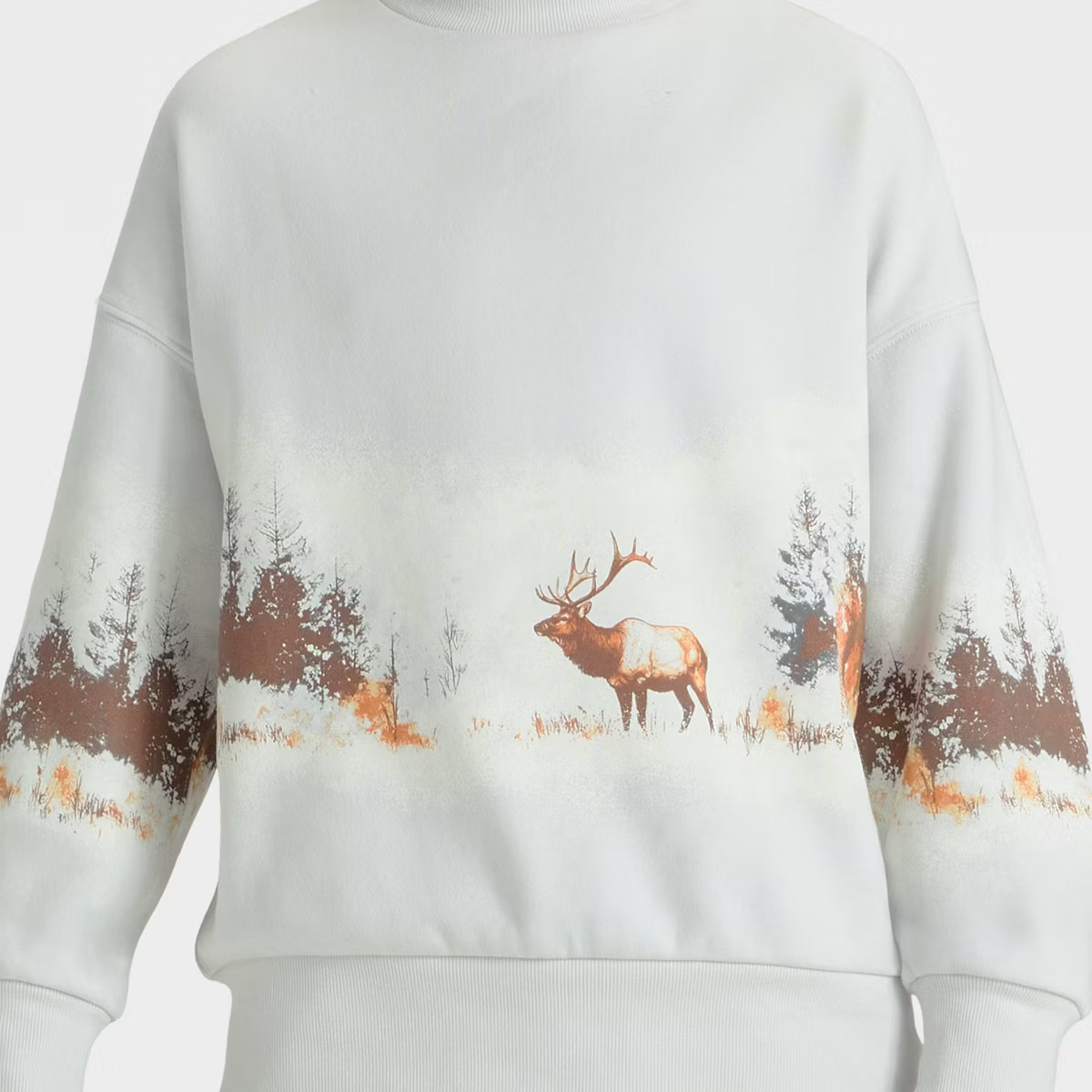 Boys' Scenic Graphic Pullover Sweatshirt - art class™ | Target