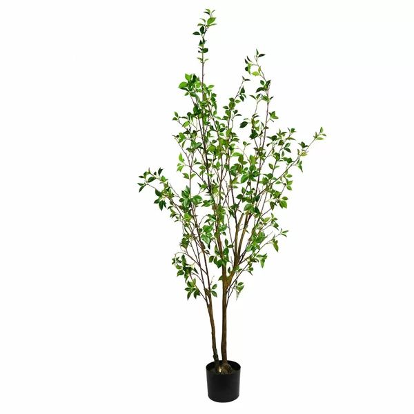 Artificial Baby Leaf Tree in Pot | Wayfair Professional