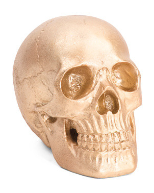 6in Skull | TJ Maxx