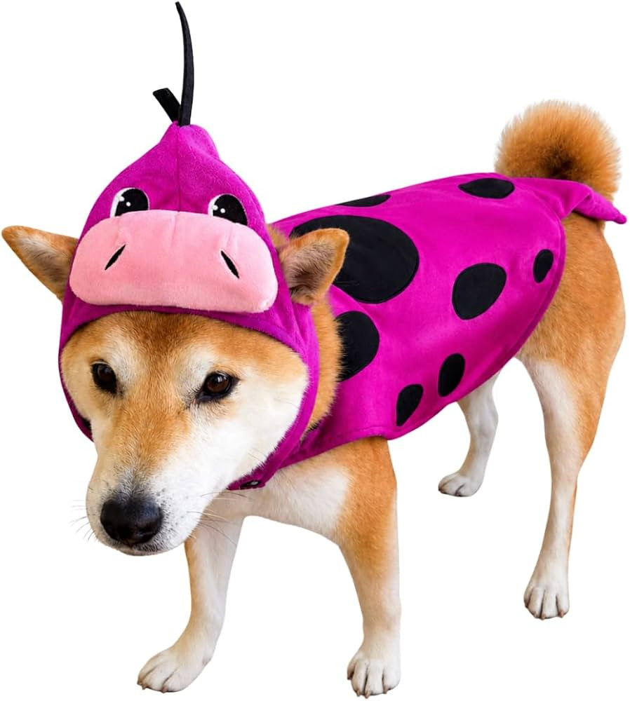ComfyCamper Purple Dinosaur Costume Headpiece and Cape for Dogs - XS XXL Cosplay Halloween Costum... | Amazon (US)