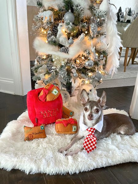 Sending my mail to Santa paws! The cutest hike and seek dog toy!

Christmas tie, interactive dog toy, burrow toy

#LTKSeasonal #LTKfamily #LTKHoliday