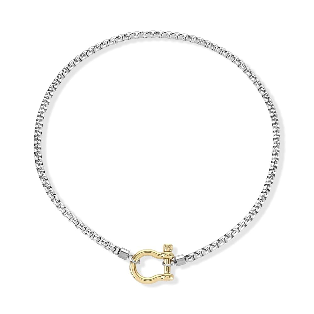18K Gold Plated Chain Necklace Choker Jewelry Women Men Hypoallergenic Chunky Chain Horseshoe Nec... | Amazon (US)