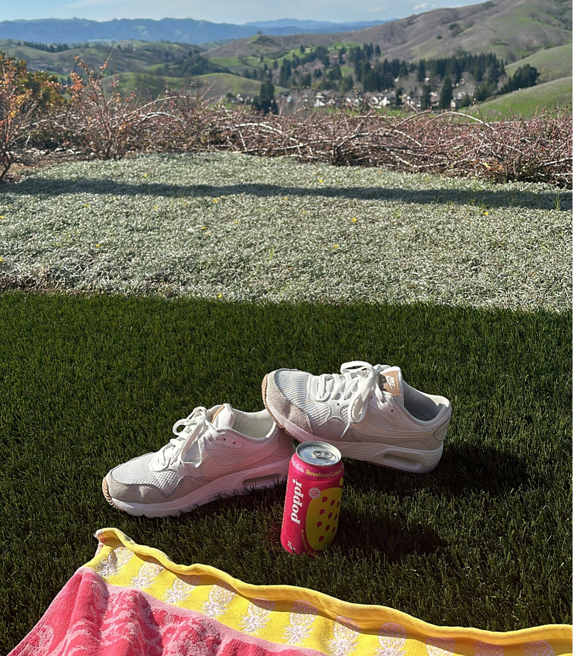 yummy probiotic soda & my favorite sneakers🥤👟

#LTKfindsunder100 #LTKshoecrush #LTKfitness