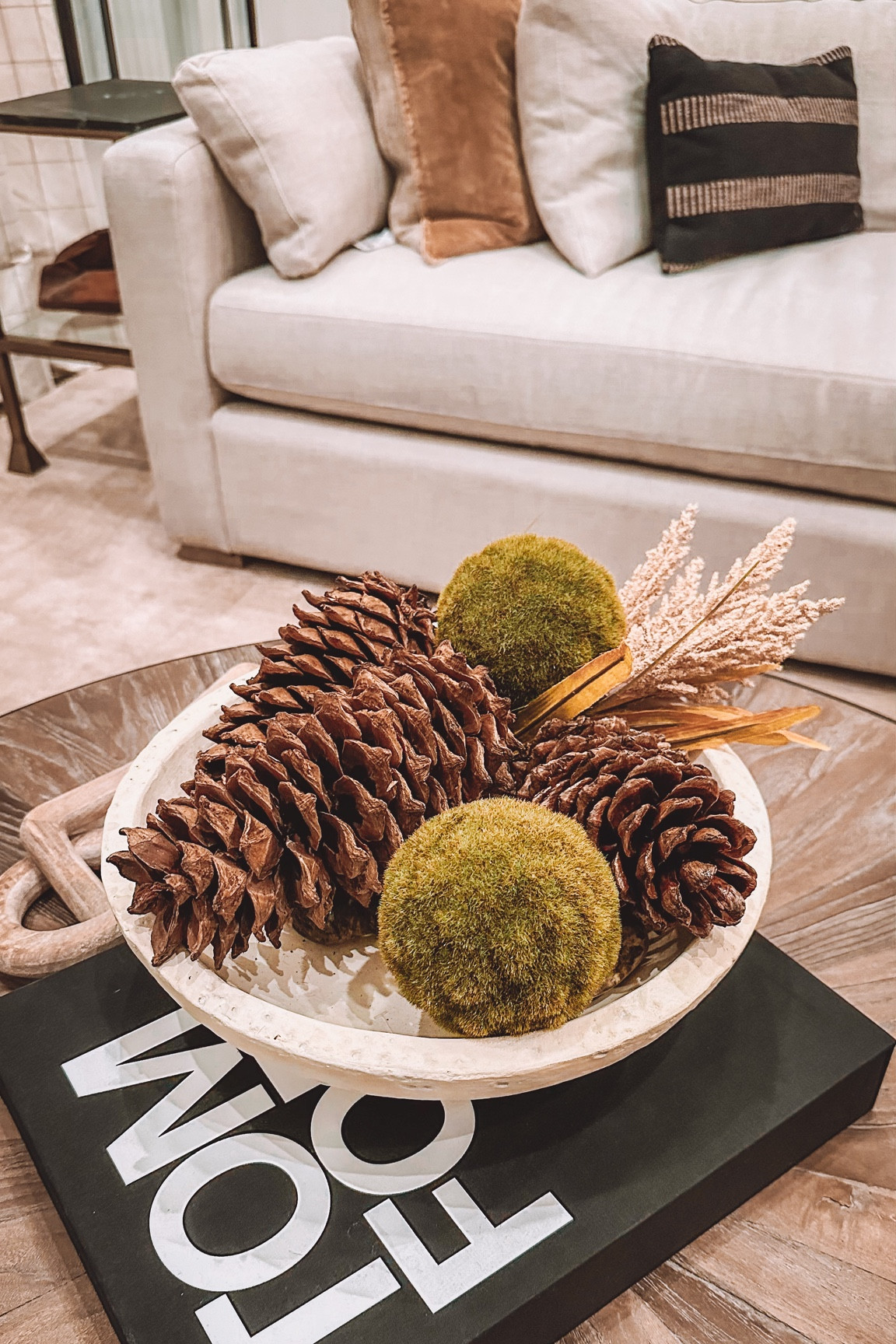Love these large, beautiful pinecones that I found! 🫶🏽

#pinecones #holidaydecor #decor #homedecor #decorpillows #pillows #tomford #books #mossballs #coffeetable 

#LTKhome #LTKHoliday #LTKSeasonal
