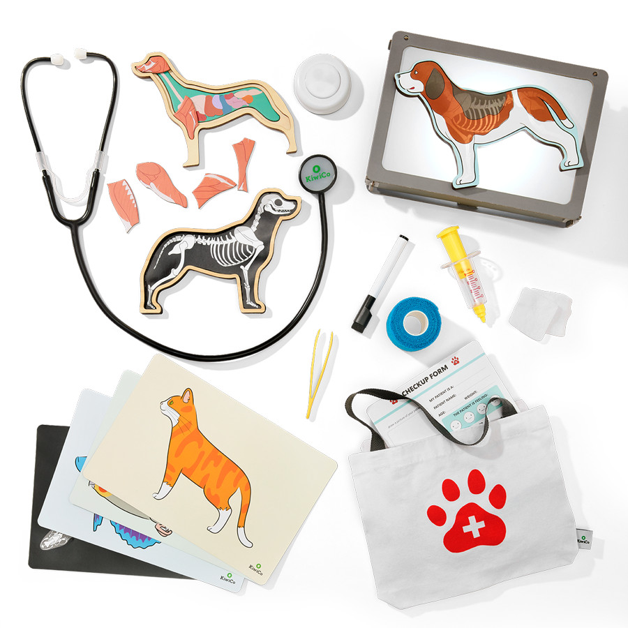 Veterinarian Starter Kit | KiwiCo | KiwiCo