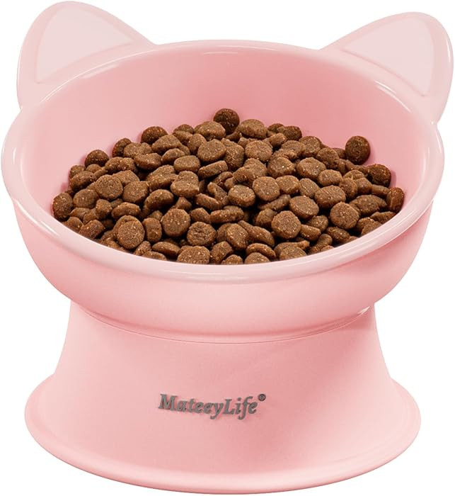 MateeyLife Raised Cat Bowls, Cat Food Bowl Elevated for Kittens & Small Dogs, 15°Tilted Protect ... | Amazon (US)