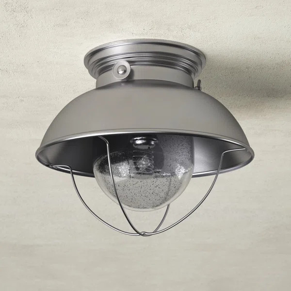 Audrey Outdoor Semi Flush Mount | Wayfair North America