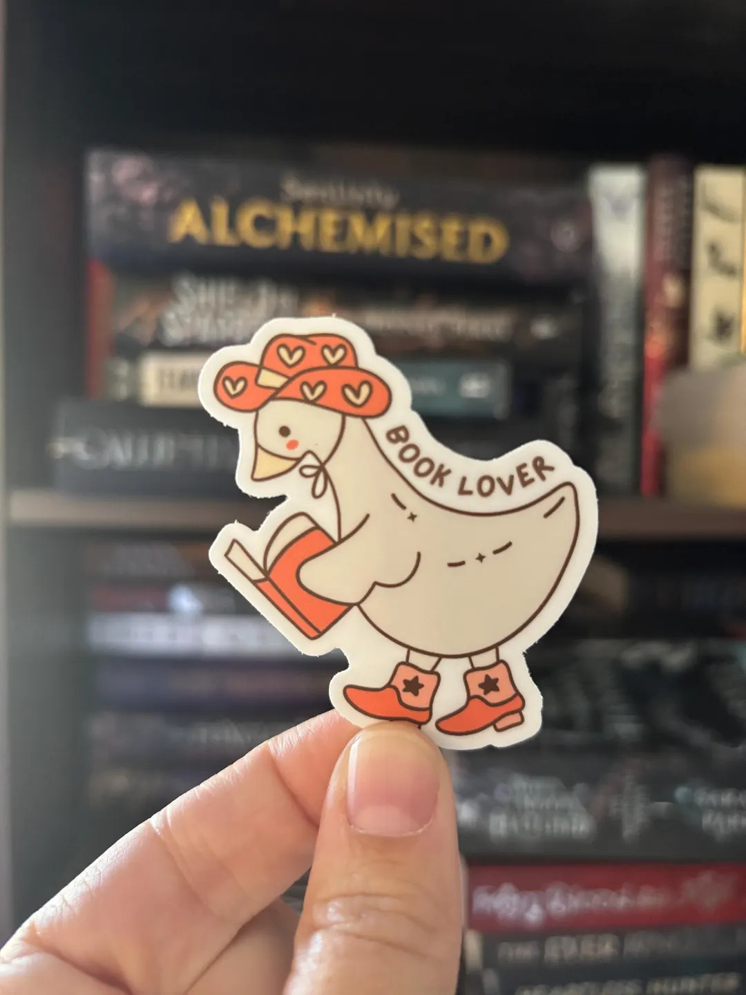 Book Lover Sticker, Silly Goose Sticker, Bookish Kindle Stickers | Etsy (US)