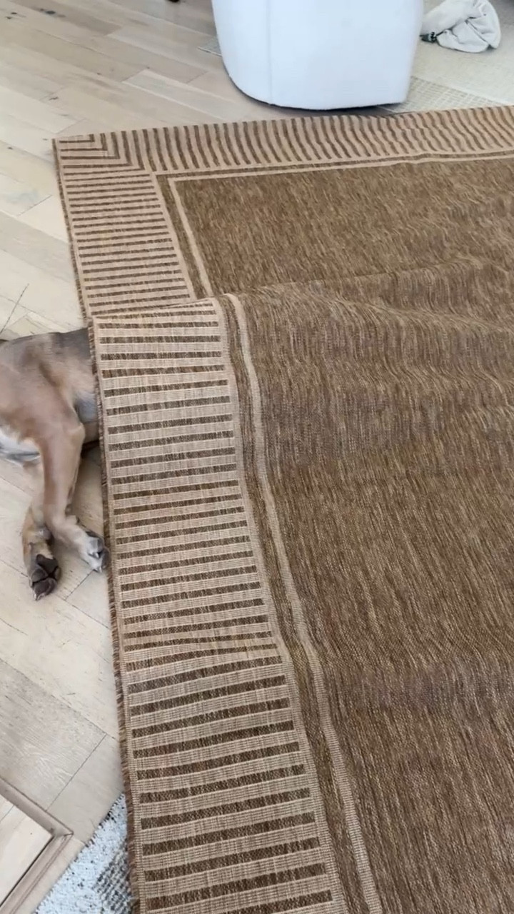 New outdoor rug from @Wayfair ✨

Wayday sale, Wayfair sale, outdoor decor, neutral outdoor rug 

#LTKSaleAlert #LTKHome #LTKSeasonal