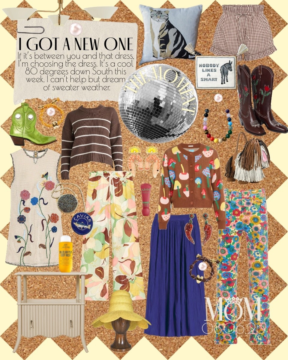 This temporary dip in the weather has me pondering my fall personal for the upcoming season. I think this edit is the closest thing to my closet goals. This post has everything from shrimp cocktail earrings to a skirt from Chicos! Also, Cold Picnic just came out with these embroidered cat pillows that look just like Charlie! Lord have mercy! Someone take my charge card away!