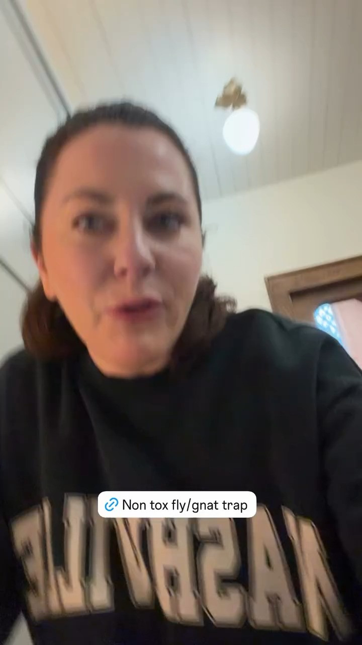 NOTHING worse than nats and flys inside your home! 

bugs l home l indoor l amazon 

 