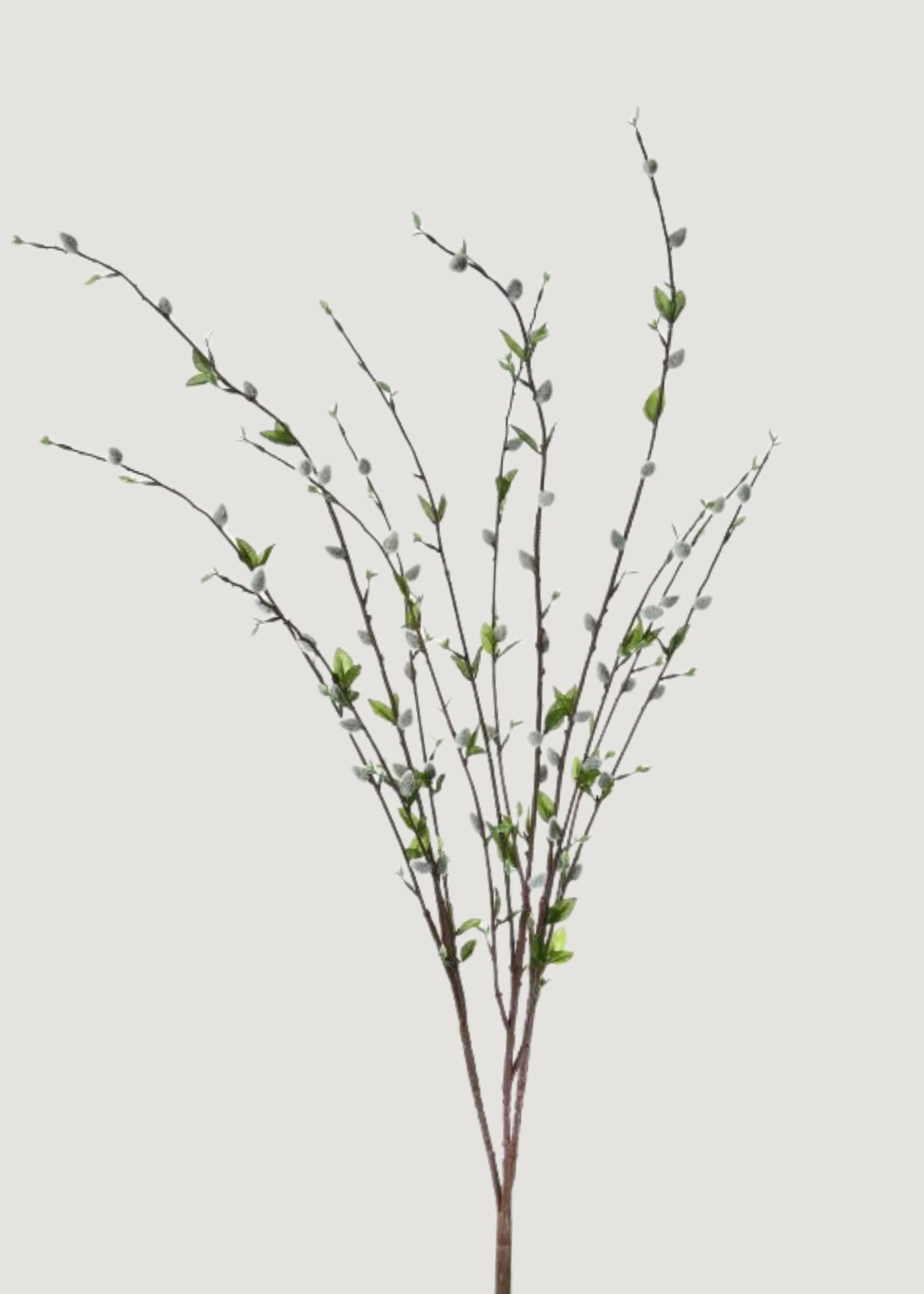 Pussy Willow Spray | Artificial Blooming Spring Branches | Afloral | Afloral
