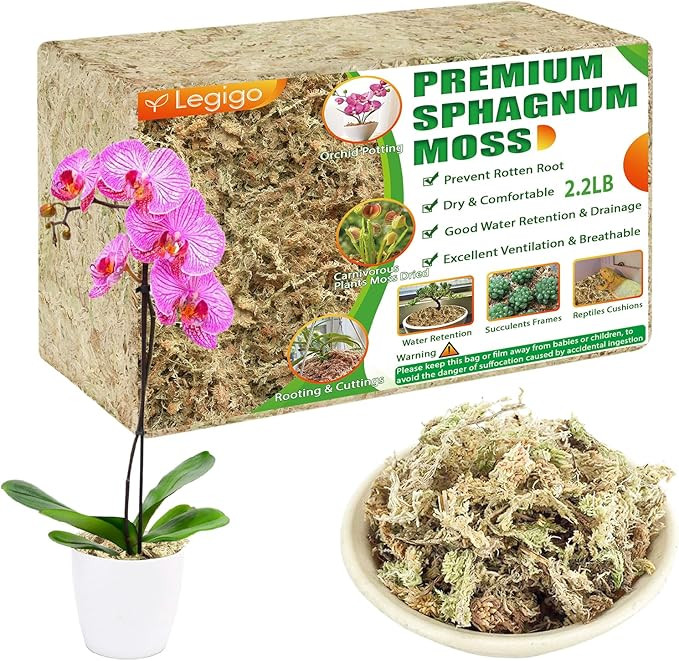 Legigo 2.2LBS Premium Sphagnum Moss for Plants- 40QT Natural Succulent Carnivorous Plant Moss Dri... | Amazon (US)