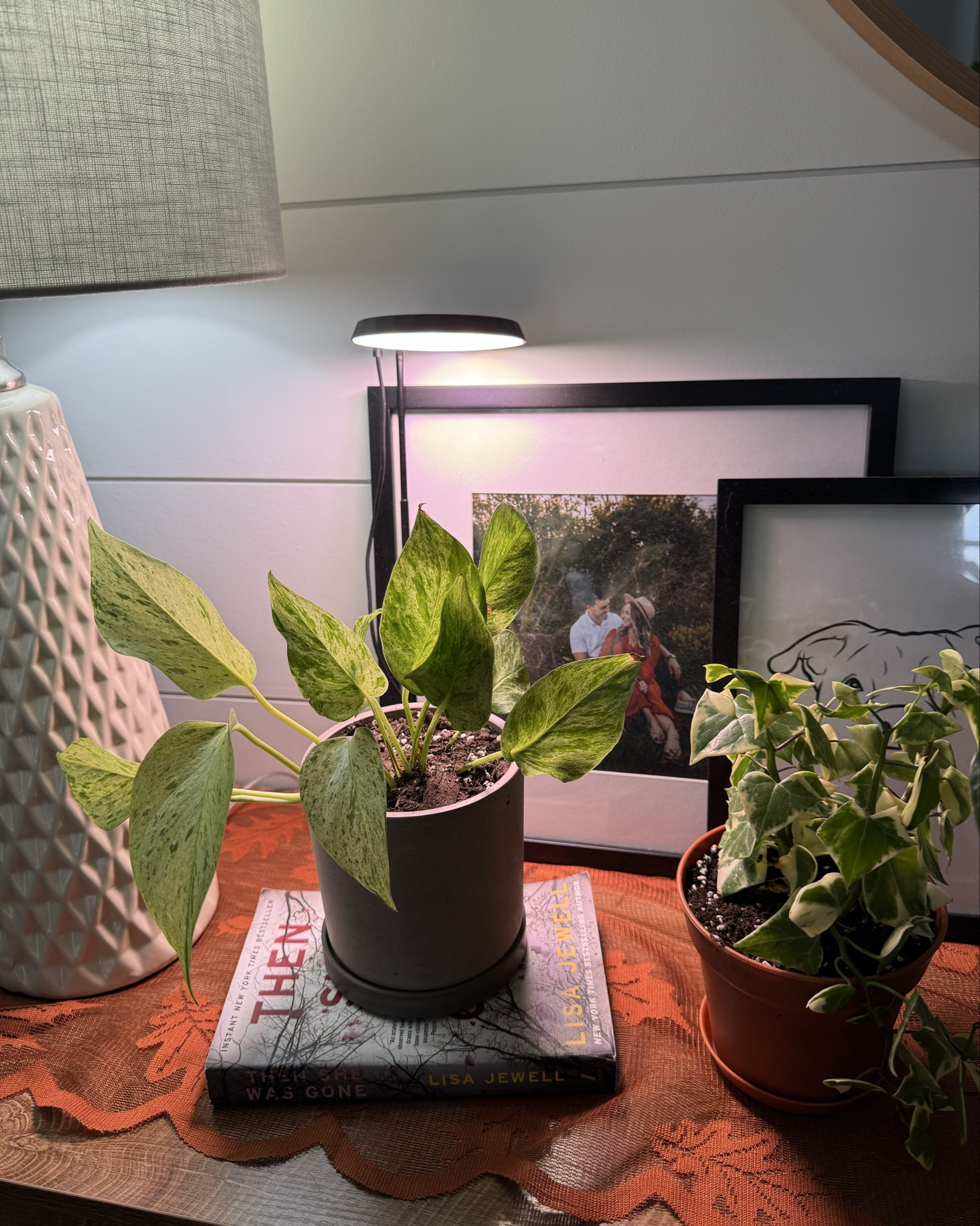 Houseplant grow light 💡 
This works SO WELL! 🪴 🌱 

Adjustable height, has a dimmer, and a timer 