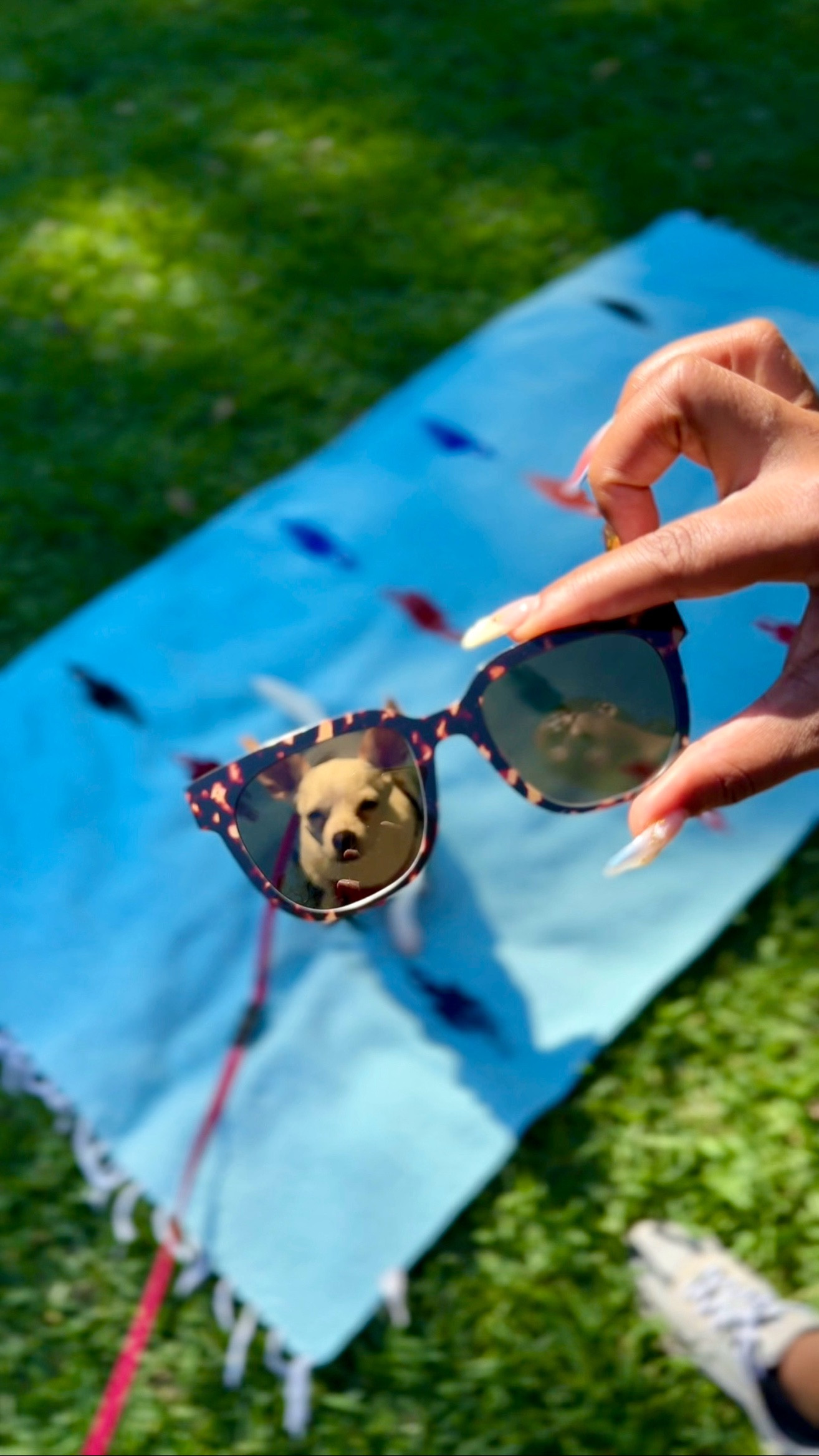 Loving my new glasses! The top frames make it so easy to switch them up based on my outfit. The sunglasses top frame is a game changer!

#eyewear #accessories #sunglasses

#LTKFindsUnder100 #LTKStyleTip