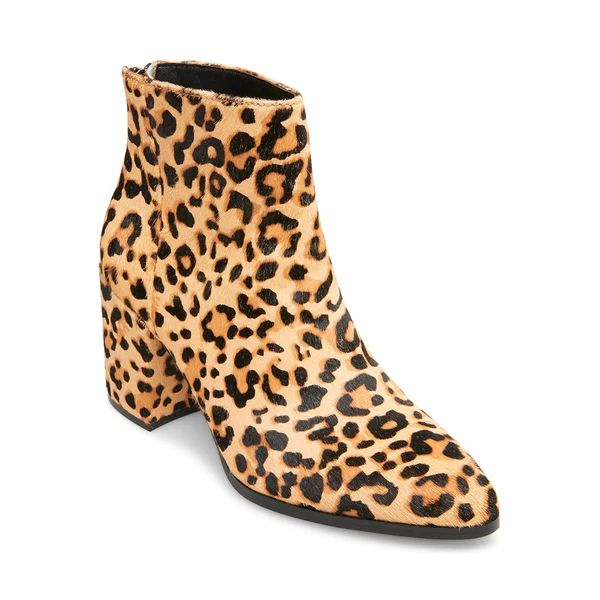 JILLIAN-L LEOPARD | Steve Madden (US)