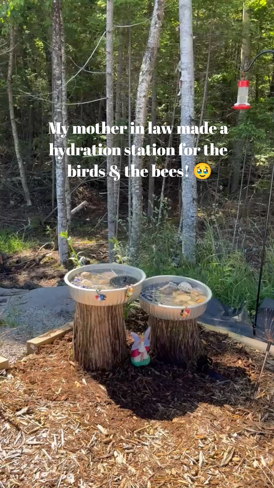 How adorable is this homemade hydration station for the birds & the bees?? 🐝🩵