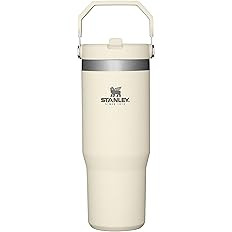 STANLEY IceFlow Stainless Steel Tumbler with Straw - Vacuum Insulated Water Bottle for Home, Offi... | Amazon (US)