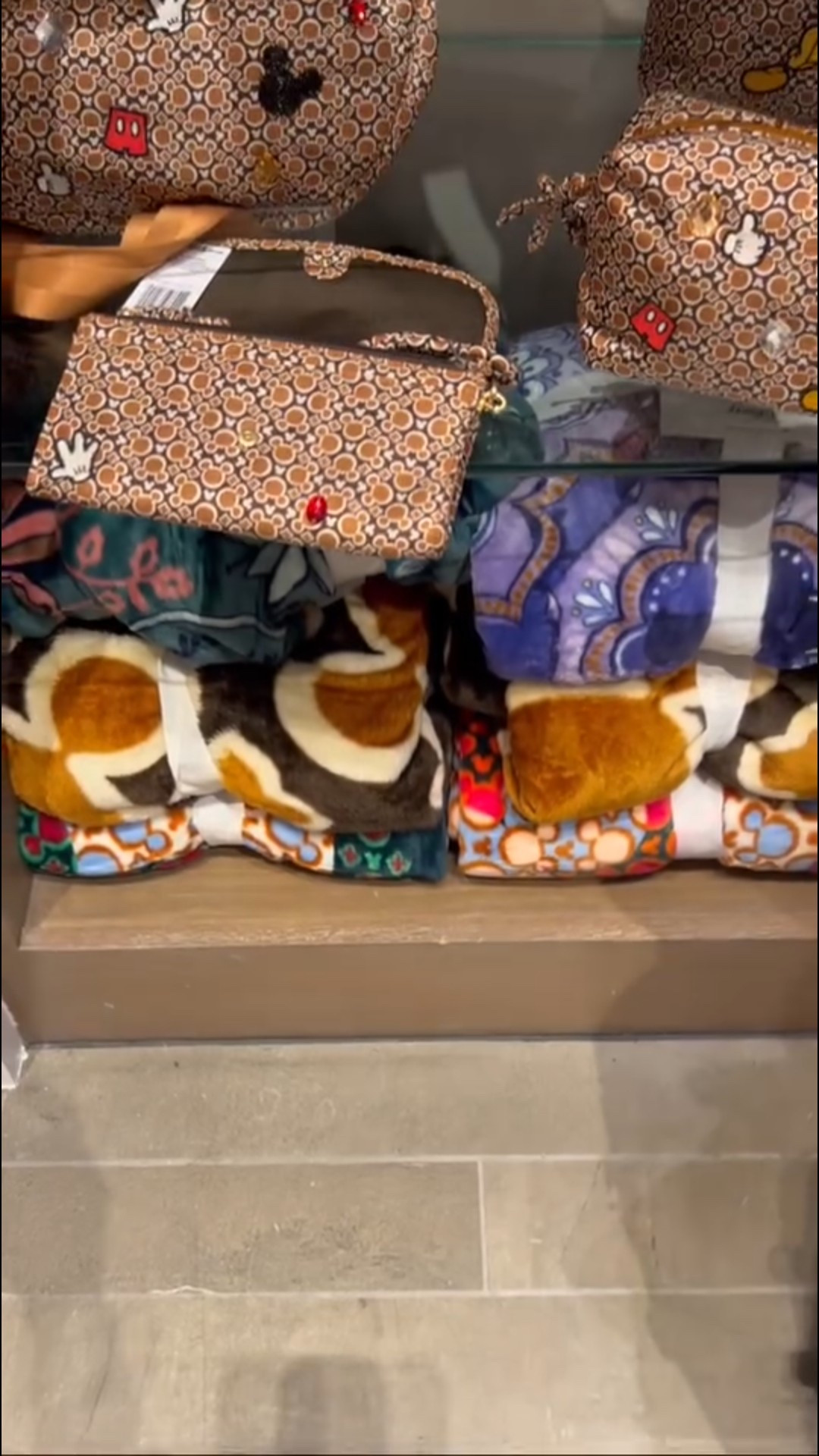 Disney Vera Bradley Disney purse Disney bag Disney park bag Disney blanket Disney wallett

#LTKGiftGuide #LTKItBag