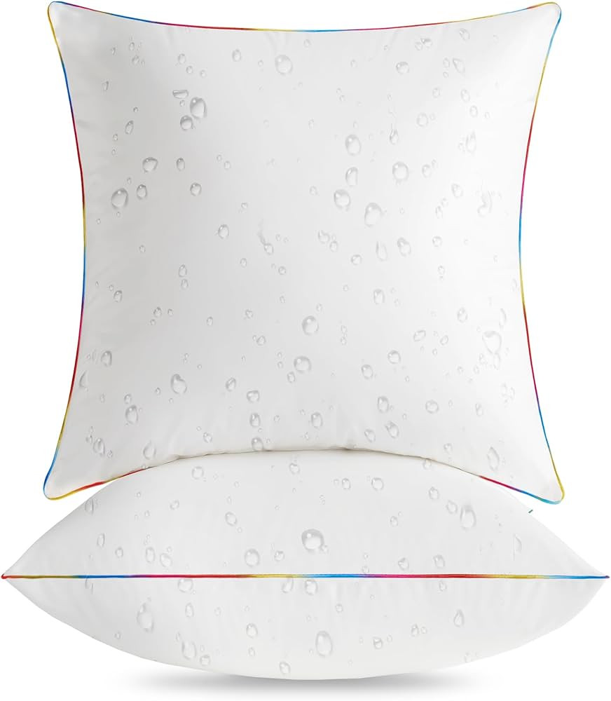 LEBO 22 x 22 Outdoor Pillow Inserts - Waterproof Decorative Throw Pillows with Down Alternative F... | Amazon (US)
