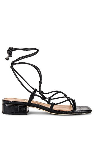 Daffy Sandal in Black | Revolve Clothing (Global)